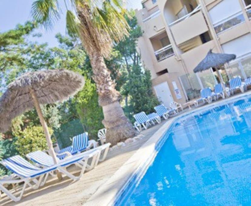 Studio/F1Bis A 50 M De La Plage Argelès-sur-Mer Exterior foto